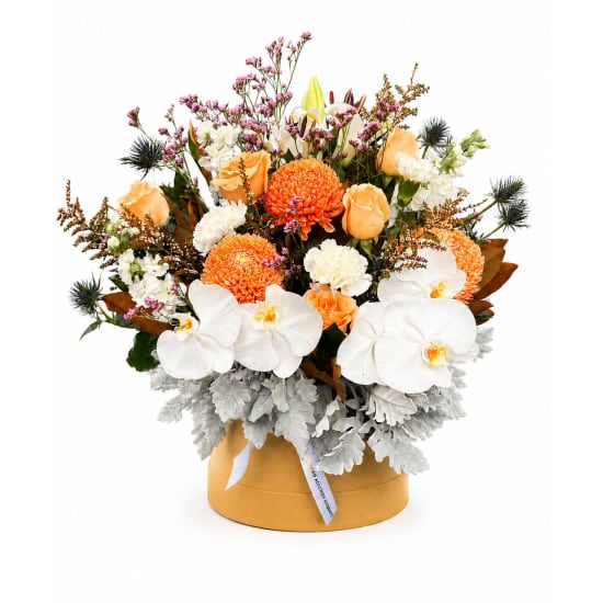 Champagne Bloom - Standard