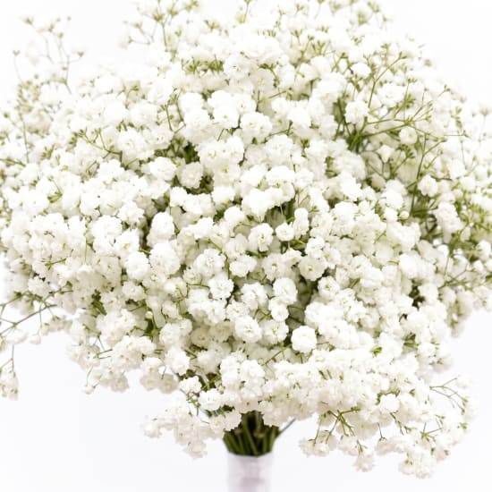 Gypsophila Bridal Bouquet - Standard (view 3 of 4)