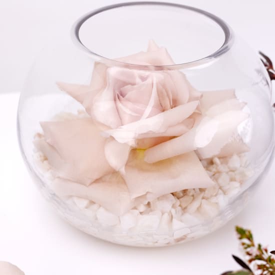 Peach Blossom Wedding Package - Standard