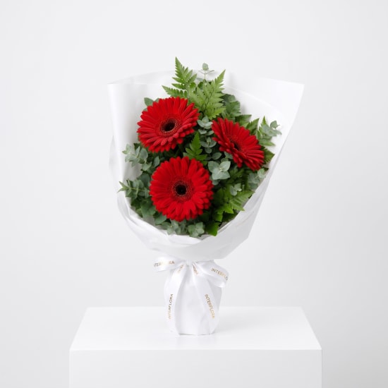 Gerbera Gems Posy - Standard (view 2 of 4)