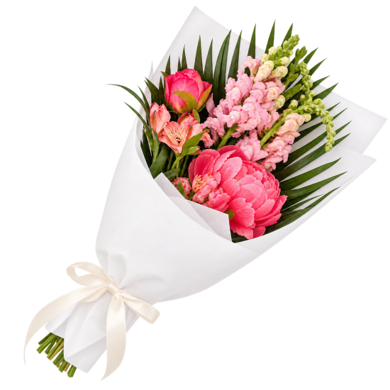 Perky Pink Peonies - Standard