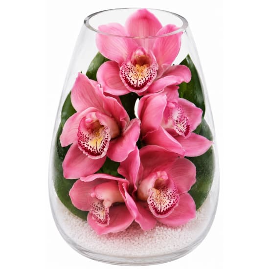 Beauty Beheld Cymbidium Orchid Vase - Standard