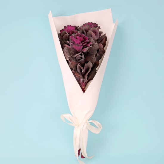 Purple Kale Market Bunch - Standard