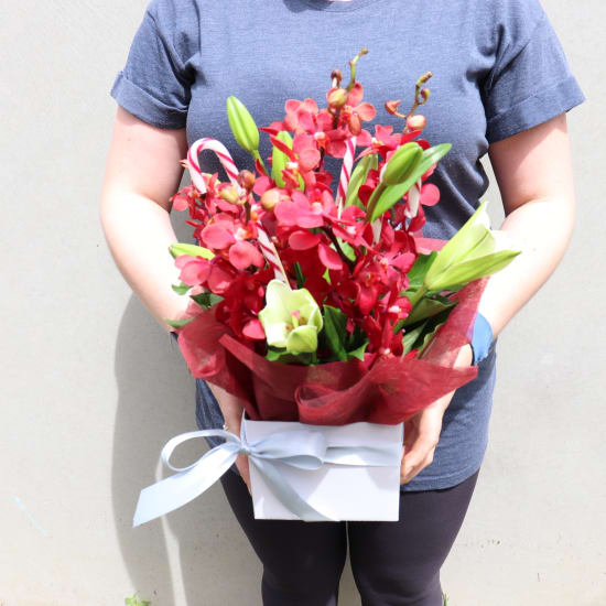 Making Xmas Magic Red & White - Standard