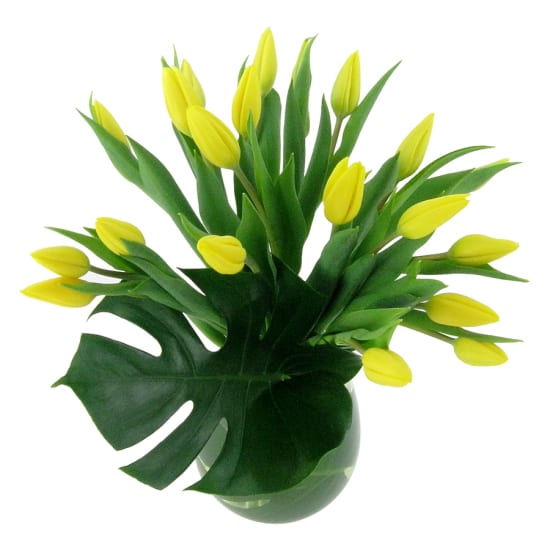 Sweet Simplicity - Deluxe