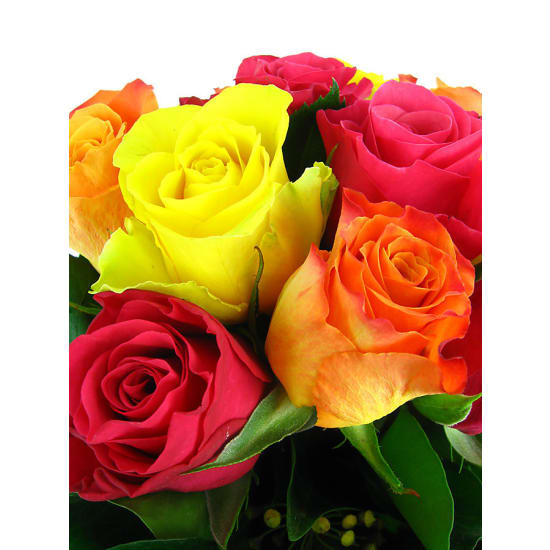 Splice Mixed Bright Rose Glass Cylinder Vase - Standard