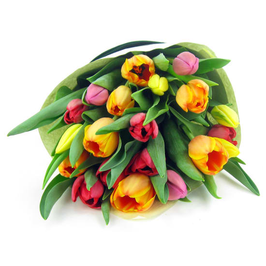 Mixed Bright Tulips Bunch - Deluxe (view 2 of 4)
