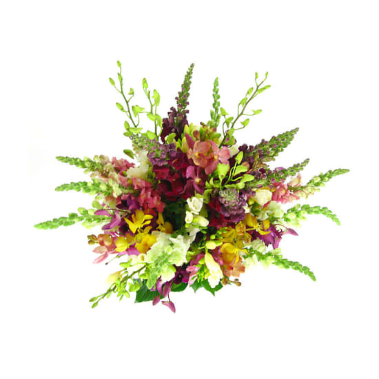 Tropical Garden - Standard