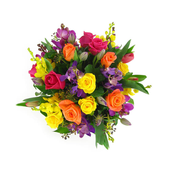 Impulsive - Standard