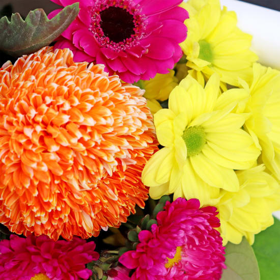 Radiant Burst Posy - Standard