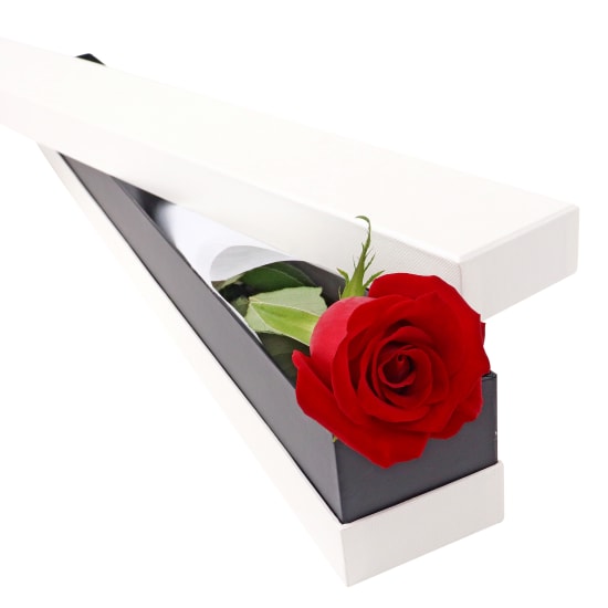 Valentine's Single Red Rose Box - Standard