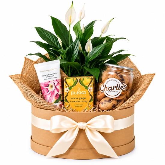 🌿🍪 Peace Lily, Tea & Bikkie Bliss Plant Hamper 🍪🌿 - Standard