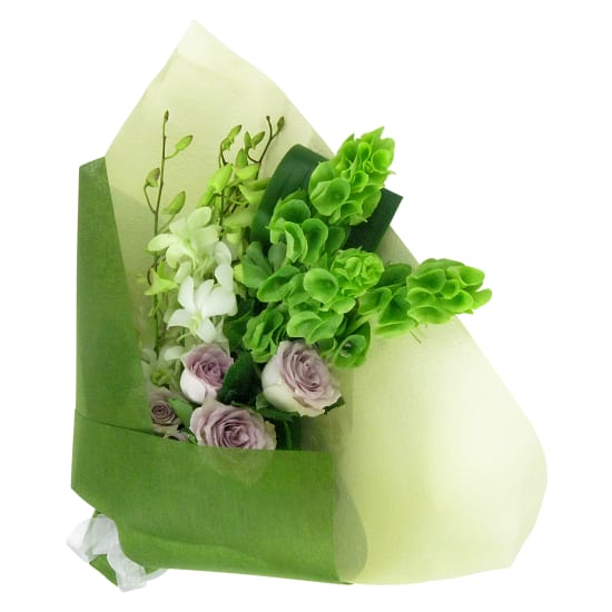 Last Embrace - Standard