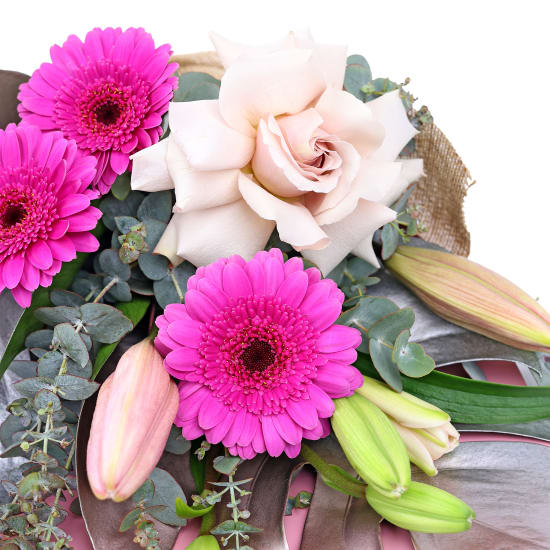 Radiant Glow - Standard