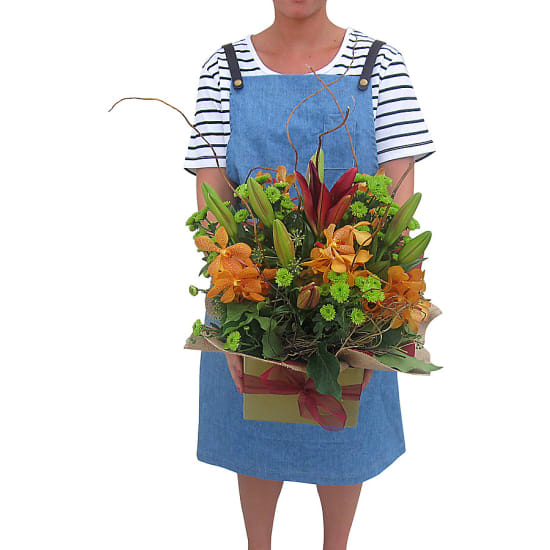 Botanique - Standard