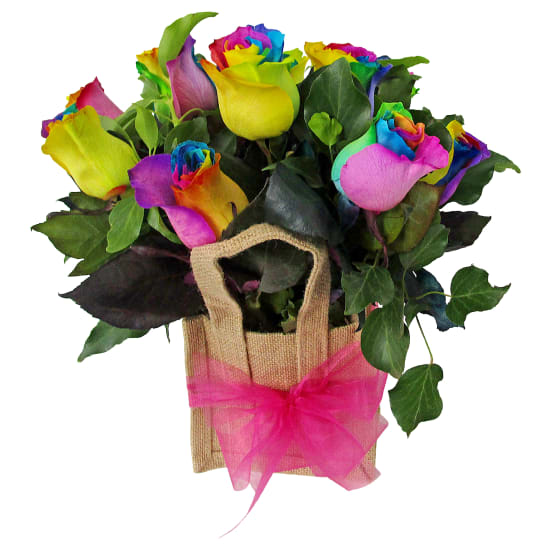 All The Pretty Colours - Standard