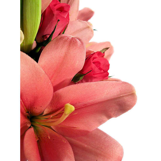 Lilies and Roses - Deluxe