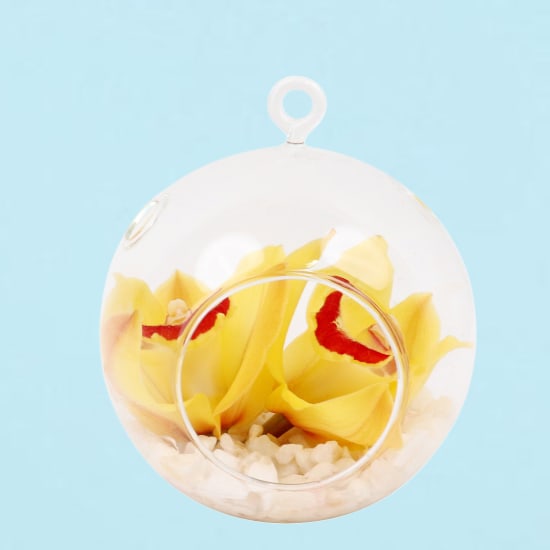 Yellow Orchid Orb - Deluxe