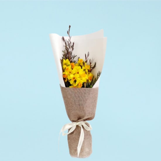 Little Jonquils - Standard