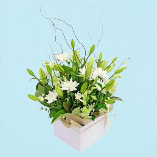Botanique White Flower Box - Standard