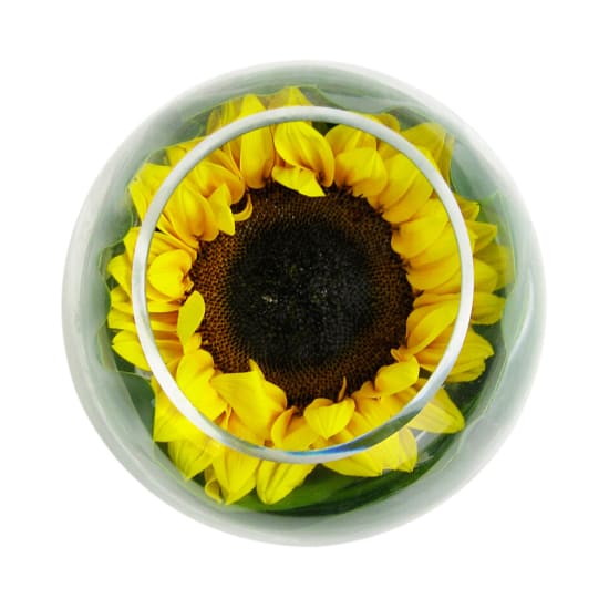 Be Happy Sunflower Fish Bowl - Standard