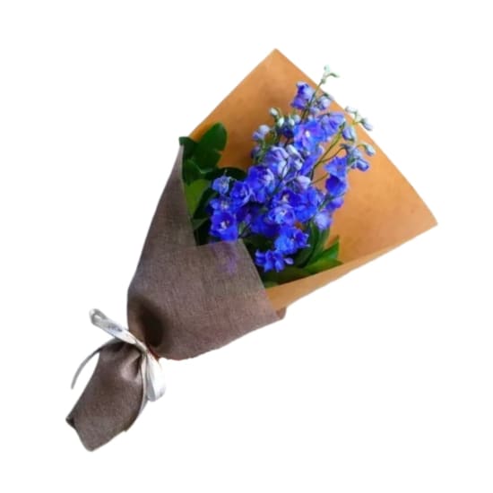 Bunch O' Delphiniums - Standard