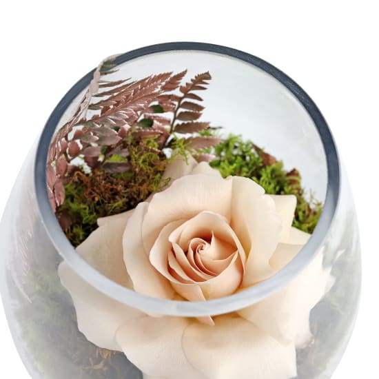 Enchanting Mushroom Vase Arrangement - Standard