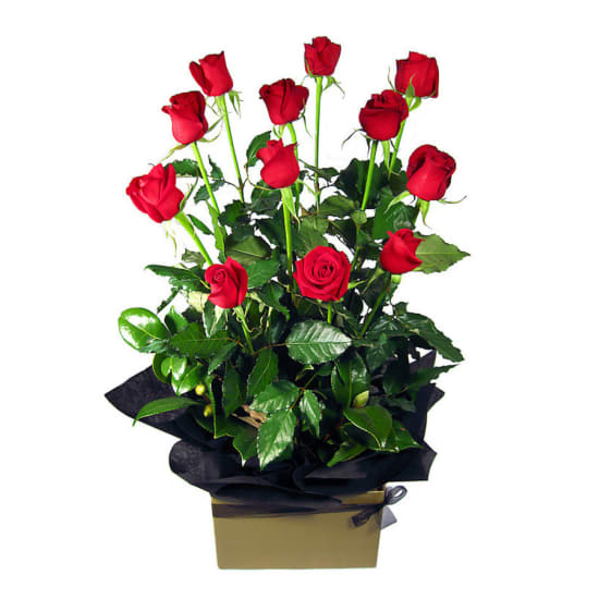 Red Rose Presentation Box - 36 Roses (Three Dozen)