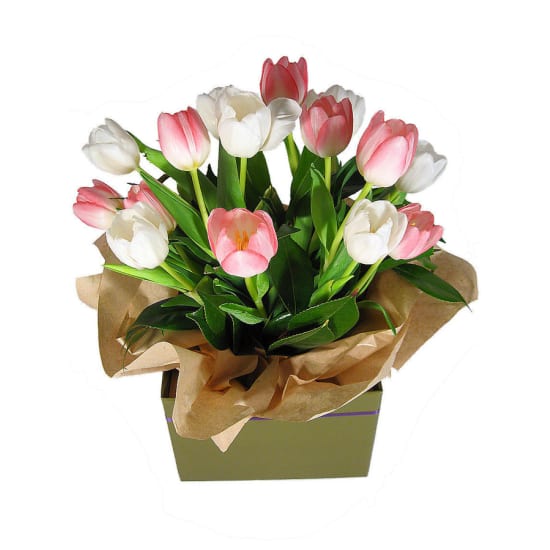 Divine Tulips Flower Box - Standard