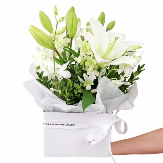 Making Magic - White  - Premium