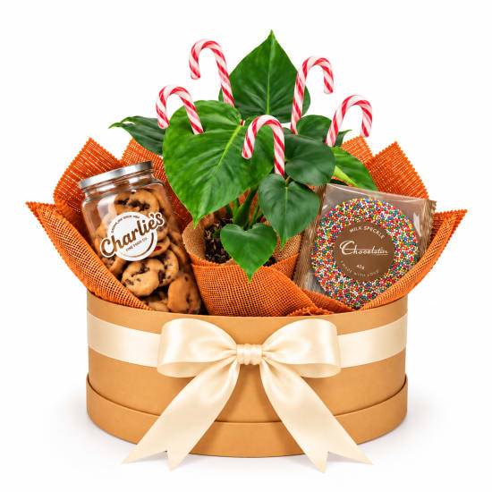 🎄🌿 Christmas Greenery & Treats Hamper 🌿🎄 - Standard