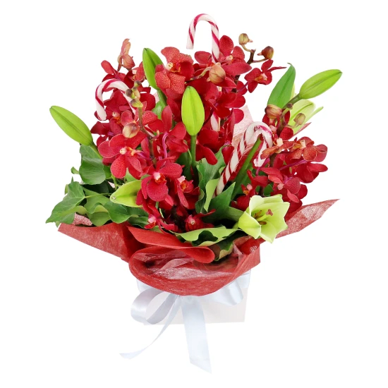 Making Xmas Magic Red & White - Standard