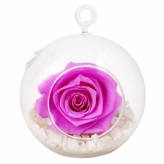 Baby Lily Rose Orb - Standard