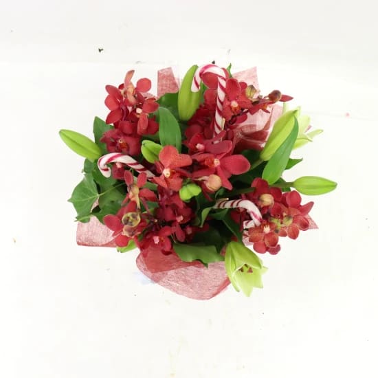 Making Xmas Magic Red & White - Standard