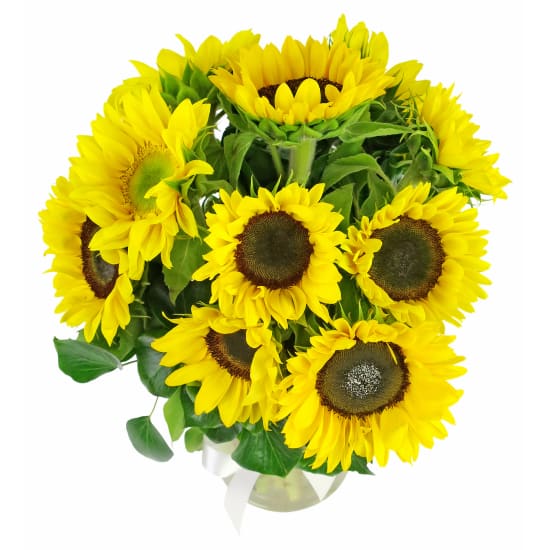Sunflowers In A Vase - Standard