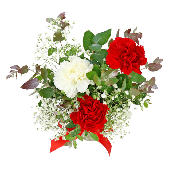 Three Xmas Blossoms Vase - Standard