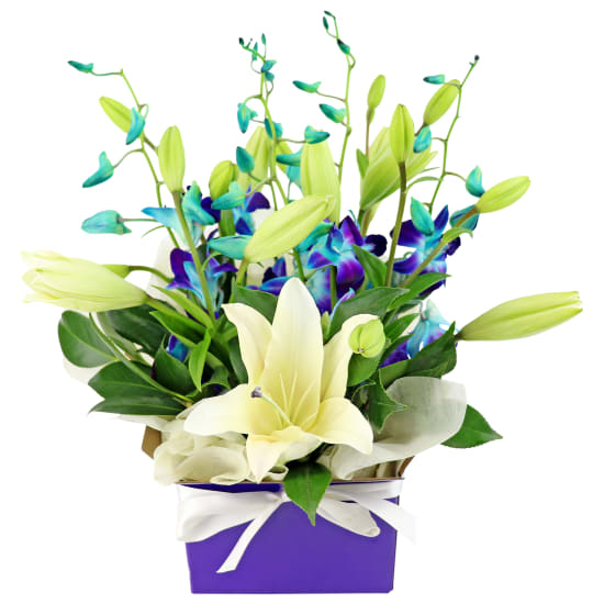 Blue Making Magic Posy Box - Deluxe (view 5 of 5)