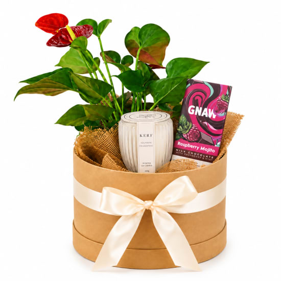 Green Goddess Pamper Box - Standard