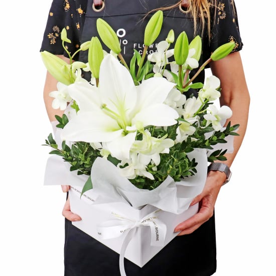 Making Magic - White  - Premium