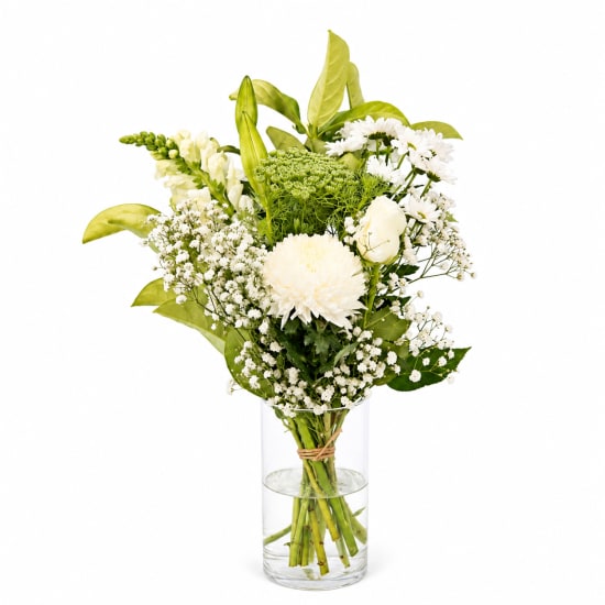 Enigmatic Beauty Vase - Standard