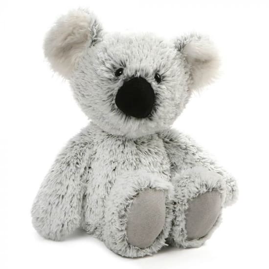 Koala William - Standard