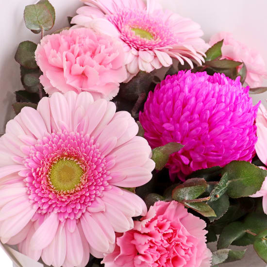 Pink Appreciation Blooms  - Standard