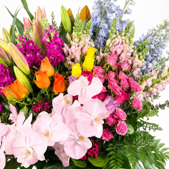 Floral Spectacle - Standard (view 4 of 4)