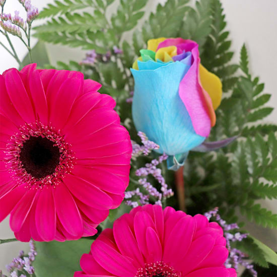 Little Flowers   Radiant Joy - Standard