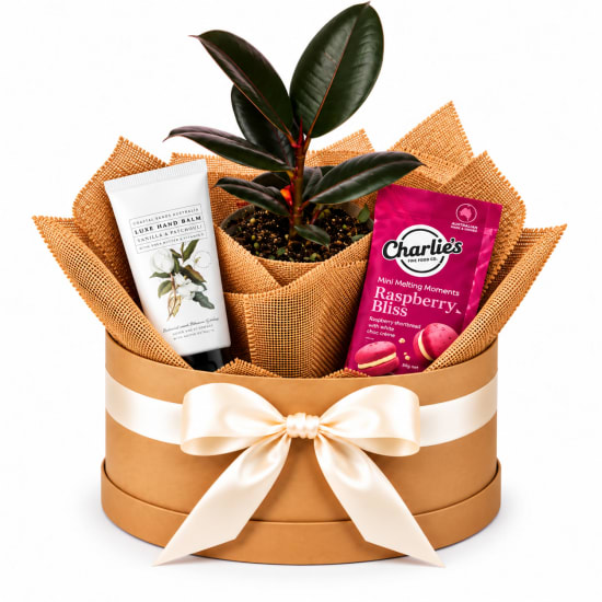 🌿💗 Burgundy Bliss & Sweet Treats Plant Hamper 🍪✨ - Standard