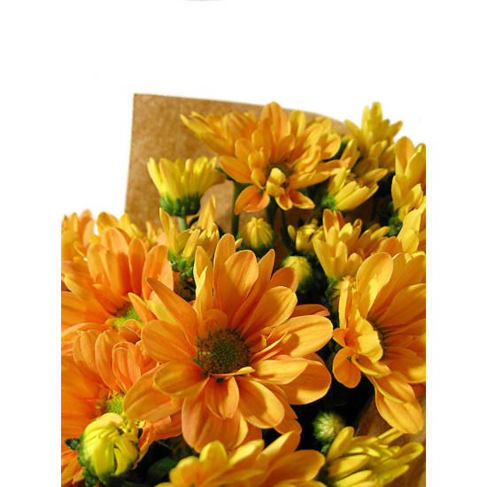 Chrysanthemum Bunch - Standard