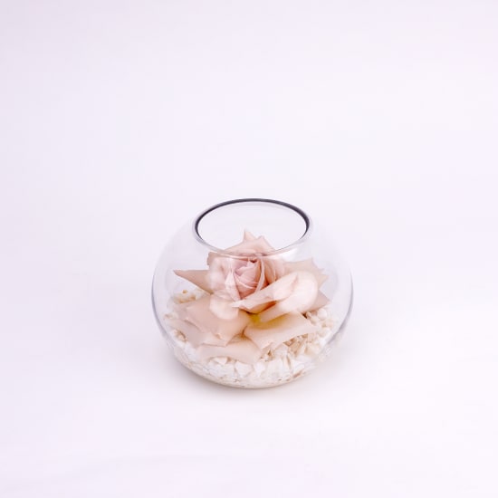 Quicksand Rosette Glass Fish Bowl Arrangement - Standard