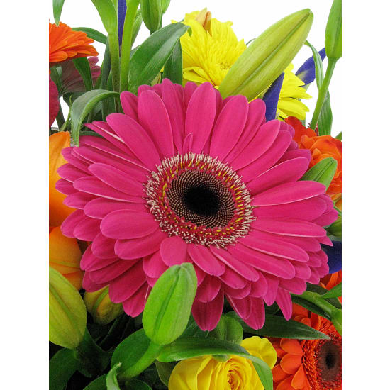 Vivacious Mixed Brights Flower Box - Deluxe