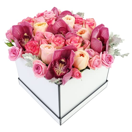 Rhapsody Of Roses - Standard