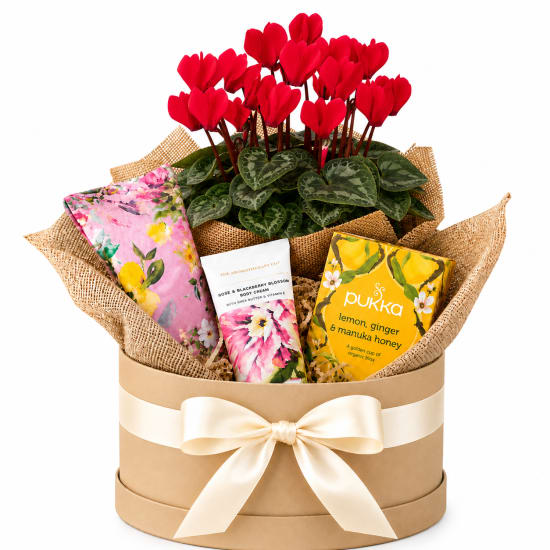 ❤️🌿 Heartfelt Moments Plant Hamper 🌿❤️ - Standard
